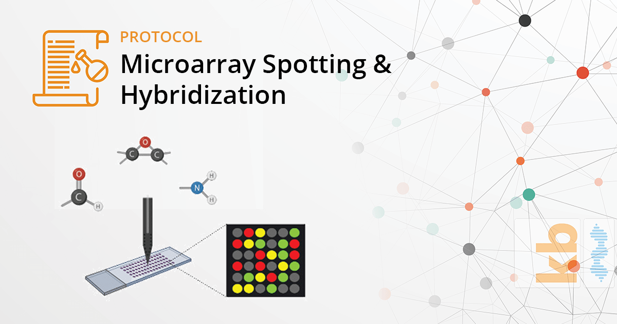 Microarray Spotting & Hybridization