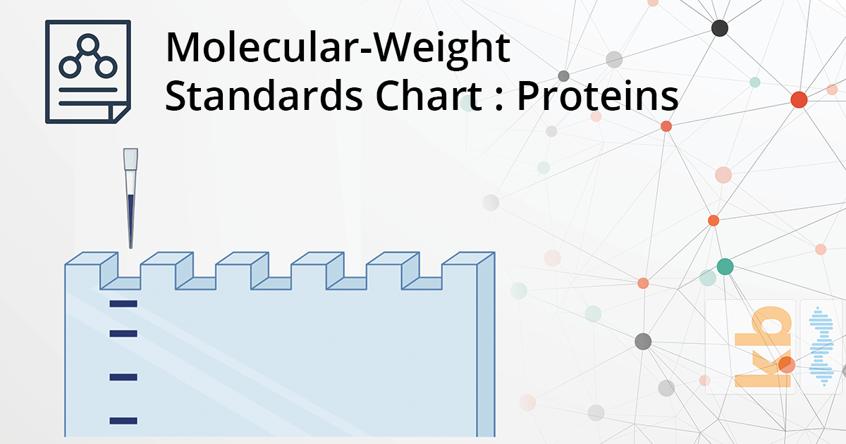 Molecular-Weight Standards Chart: Proteins