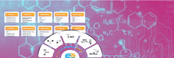 Tackle Key PTMs Disrupting your Research Molecules