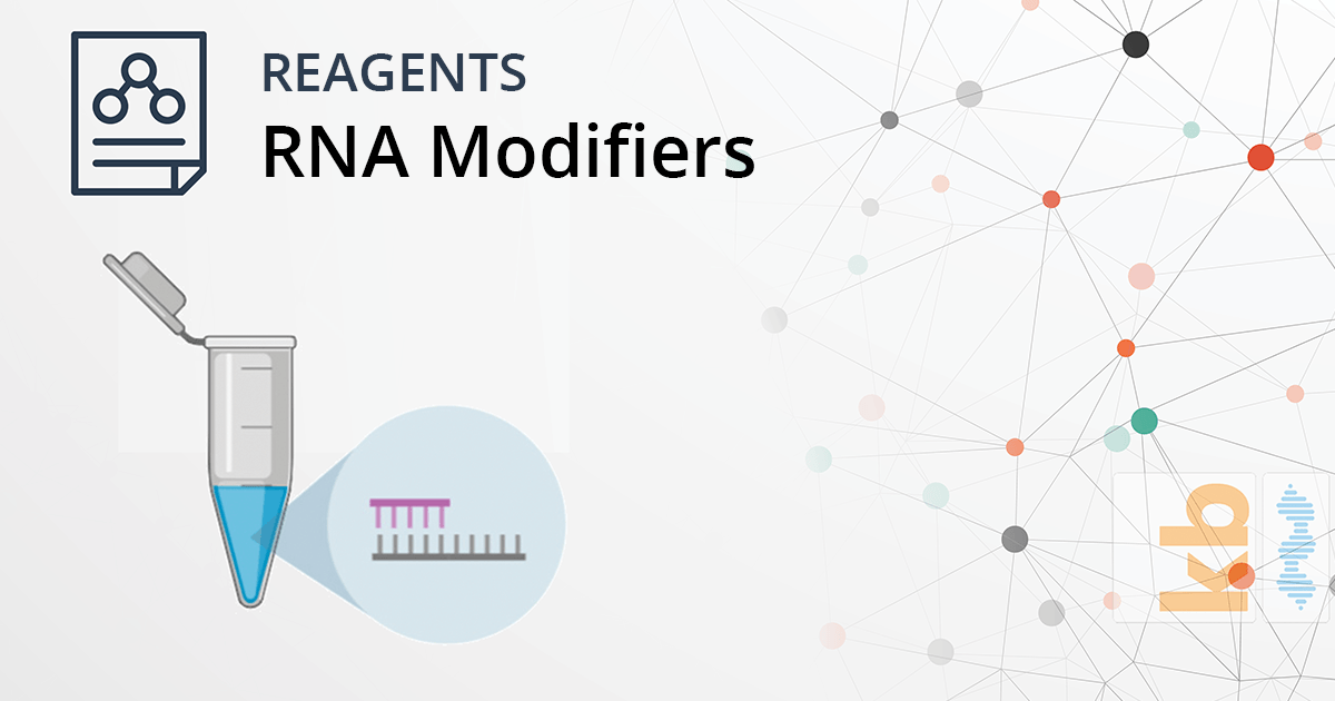 Advanced RNA Modifier Reagents: See the Full List