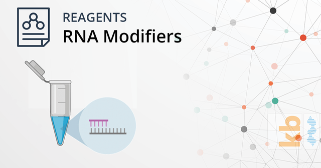 Advanced RNA Modifier Reagents: See the Full List Advanced RNA Modifier Reagents: See the Full List