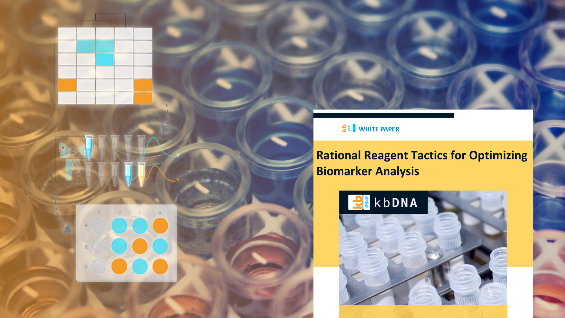 Rational Reagent Tactics for Optimizing Biomarker Analysis