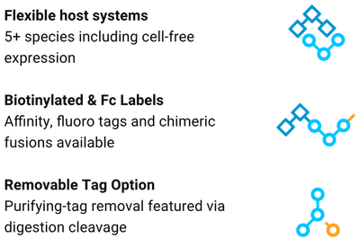 A list of flexible host systems including cell free expression biotinylated & fc