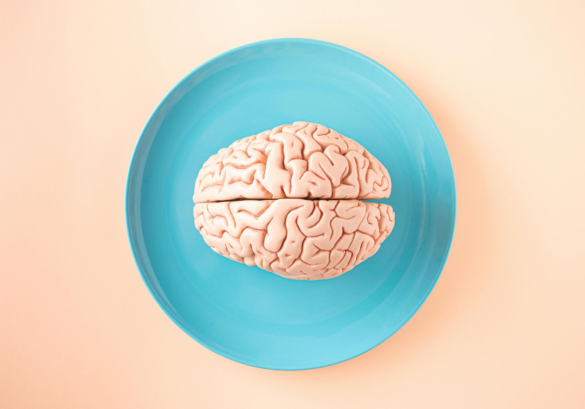 Brain in a dish image