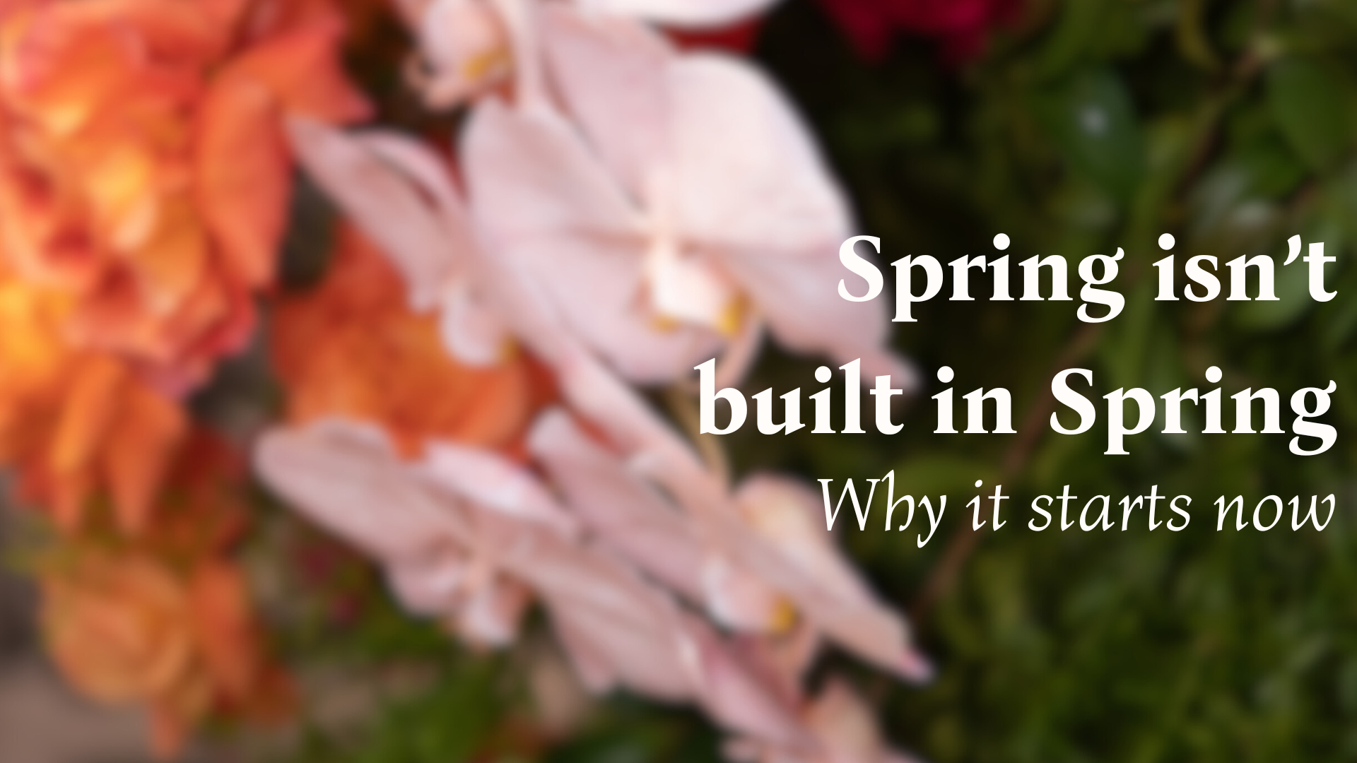 GD Events Group | Spring Starts Now | Strategic Event Planning Australia