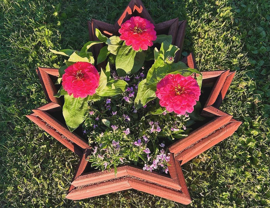 A wooden star shaped planter filled with pink and purple flowers