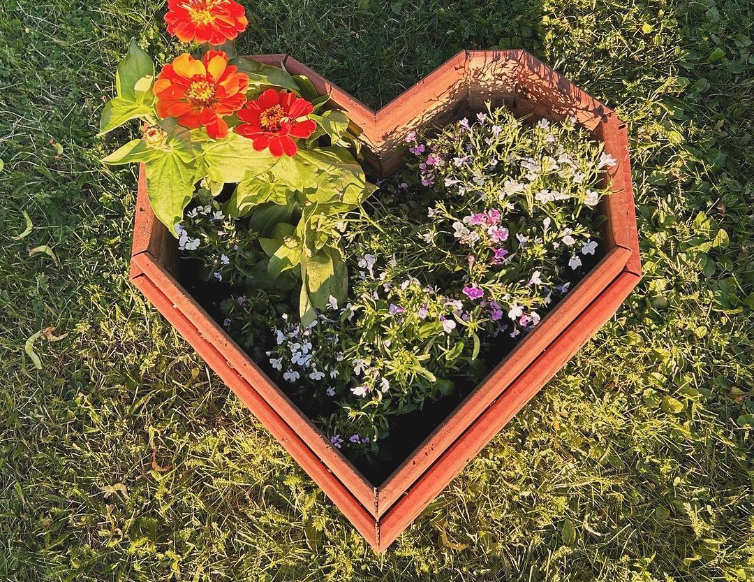 A heart shaped planter with flowers in it