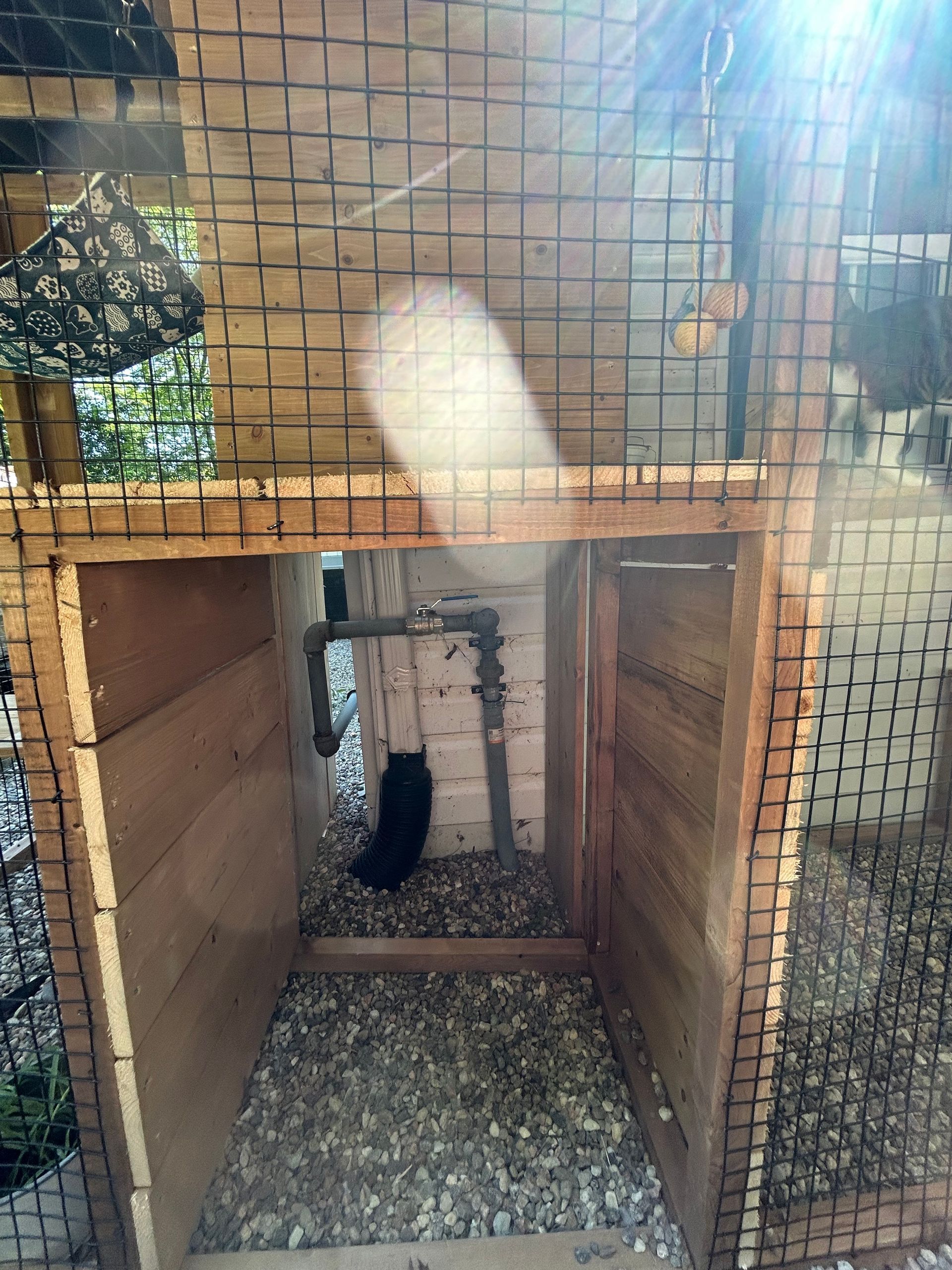 A cat is sitting inside of a wooden cage.