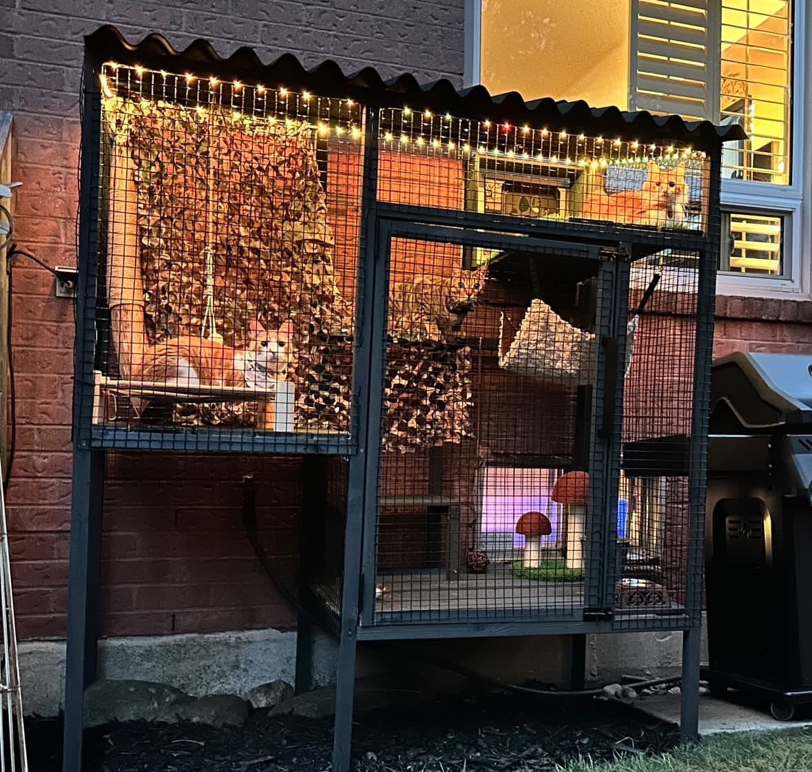A dog in a cage outside of a brick building