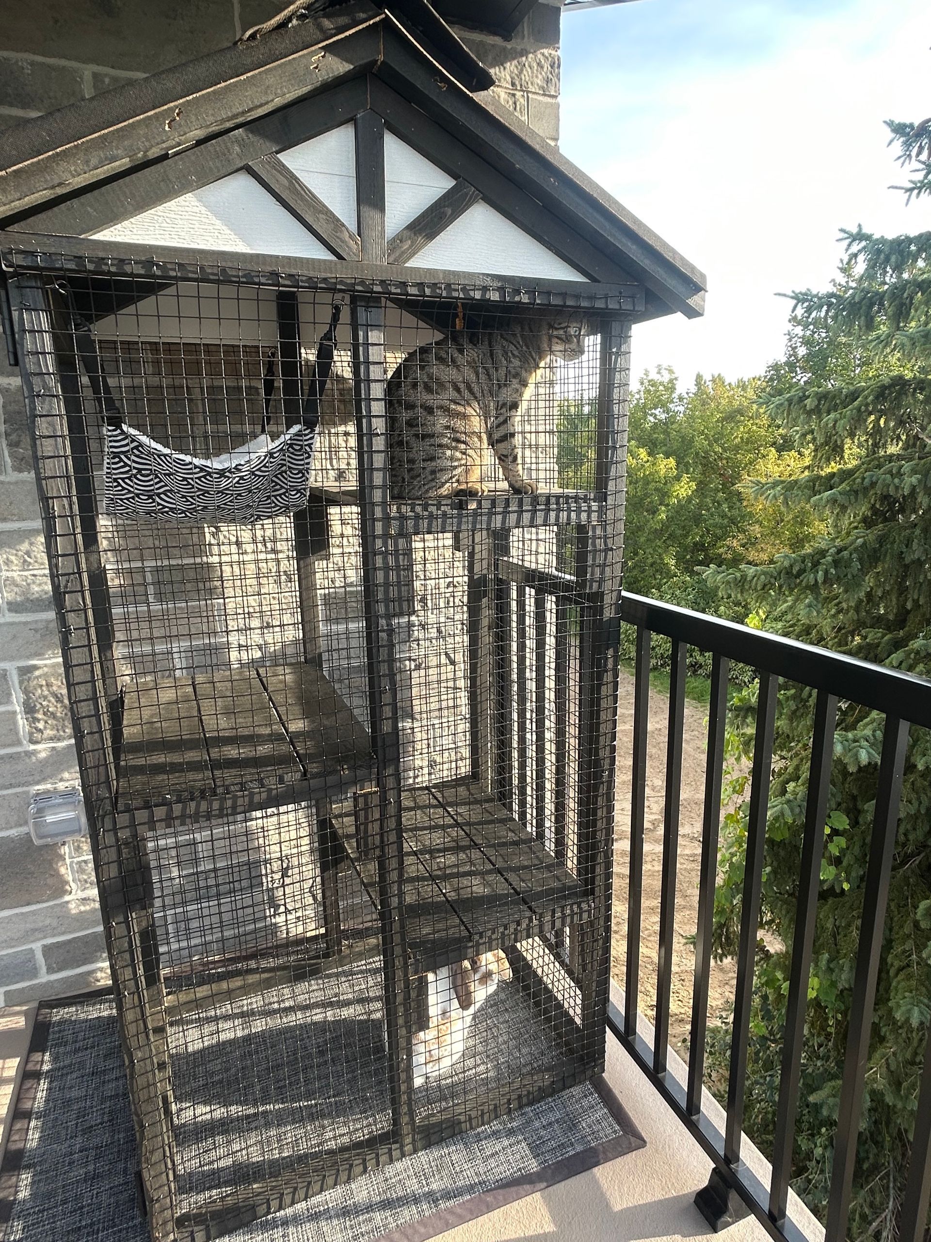 A cat is sitting in a cage on a balcony.