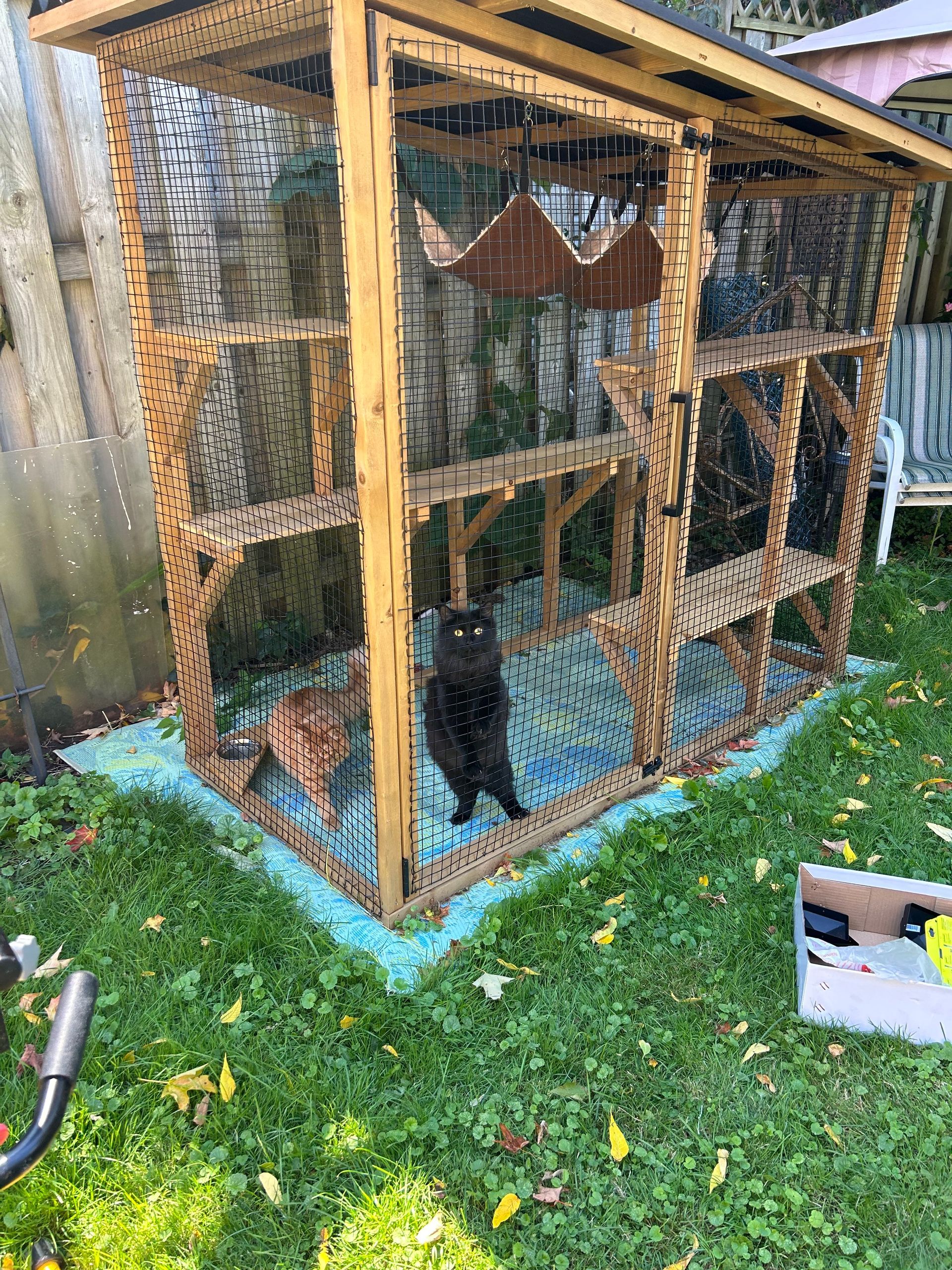 A black cat is sitting in a wooden cage in the grass.