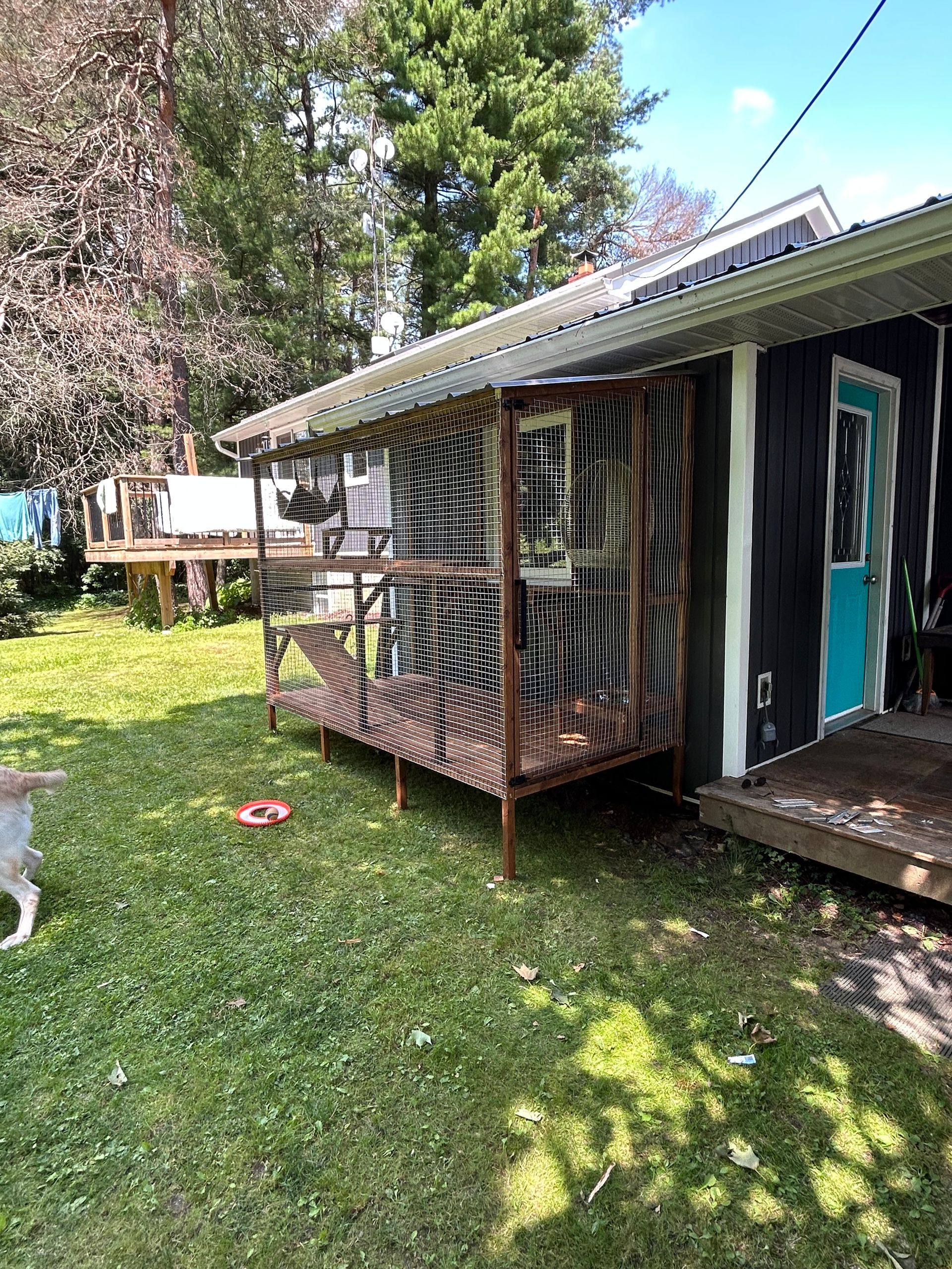 A black house with a blue door and a chicken coop in the backyard.