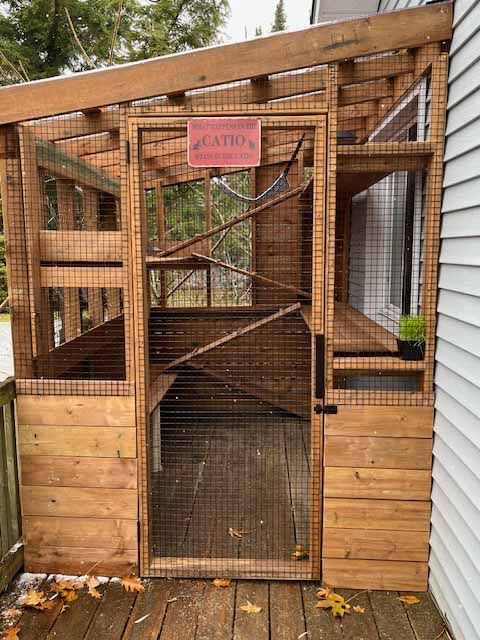 A dog is sitting in a cage next to a tree.