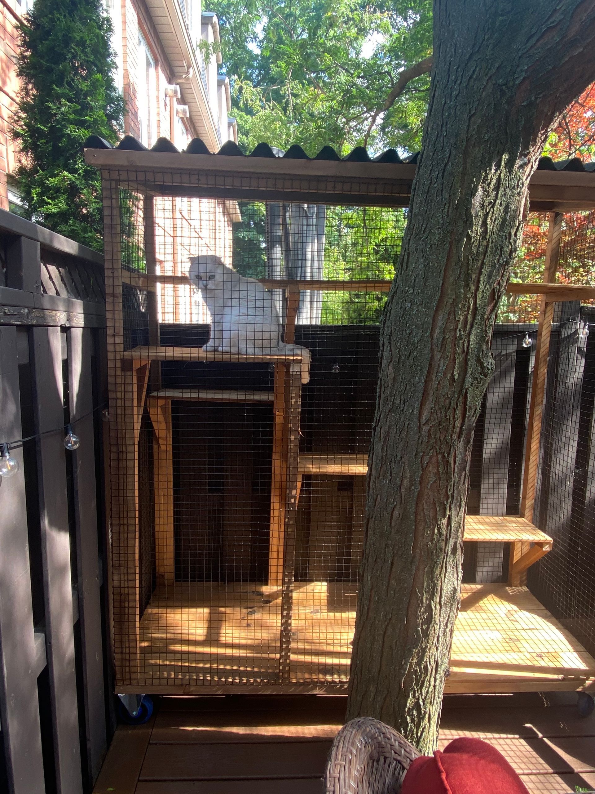 A dog is sitting in a cage next to a tree.