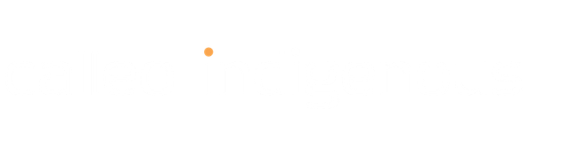 Small orange dot near the top center of a mostly white background.