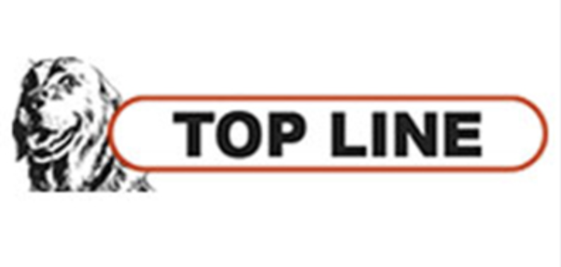 logo2