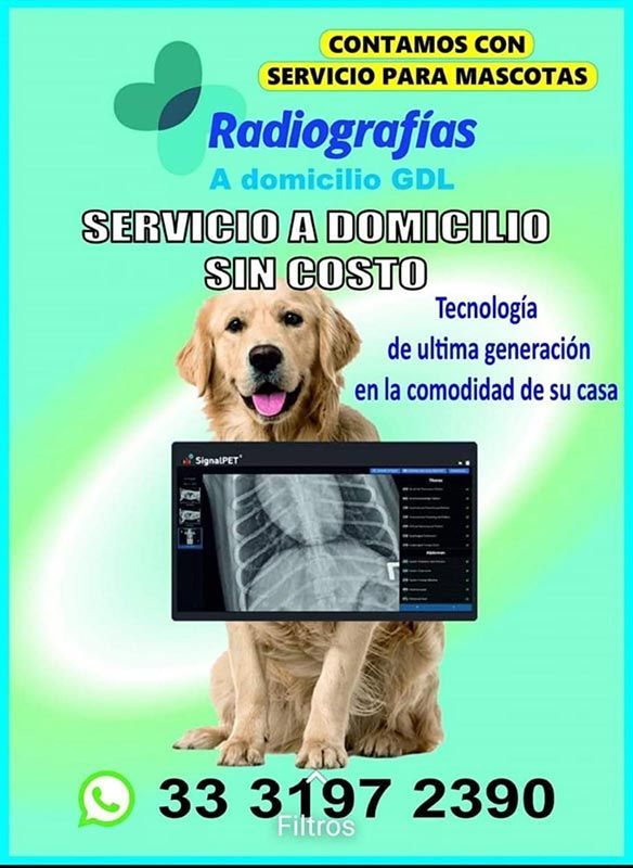Radiografías a Domicilio Silva