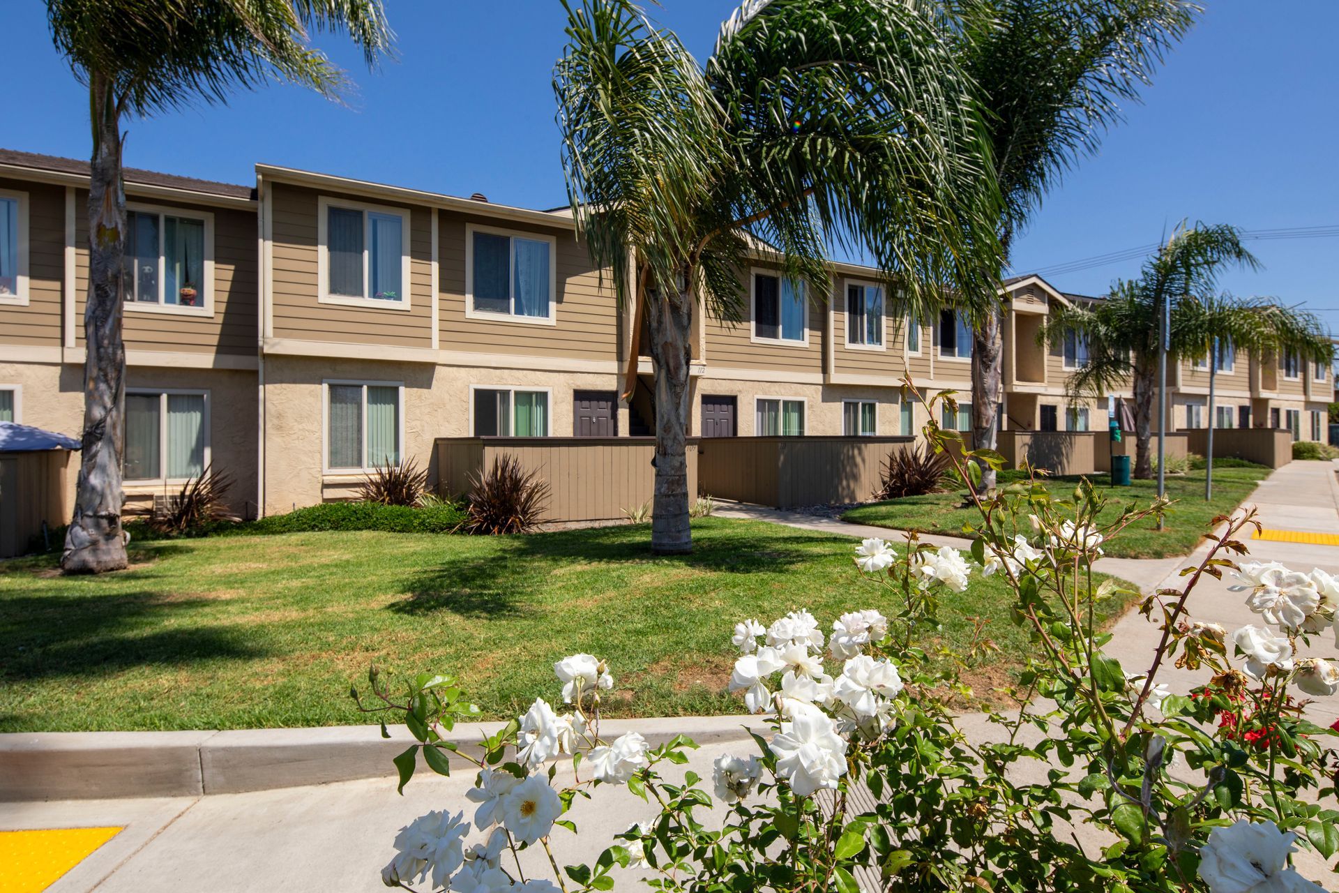a row of apartment buildings with flowers in front of them