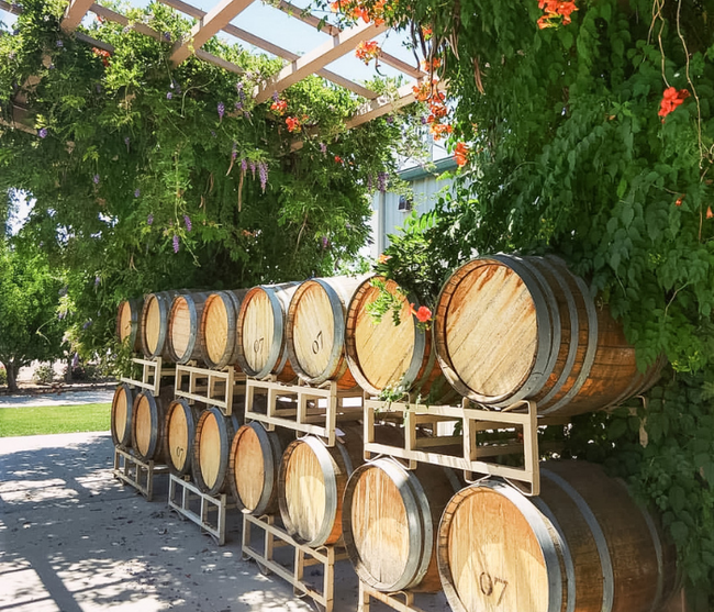 Stacked wooden wine barrels under a leafy pergola in an outdoor courtyard
