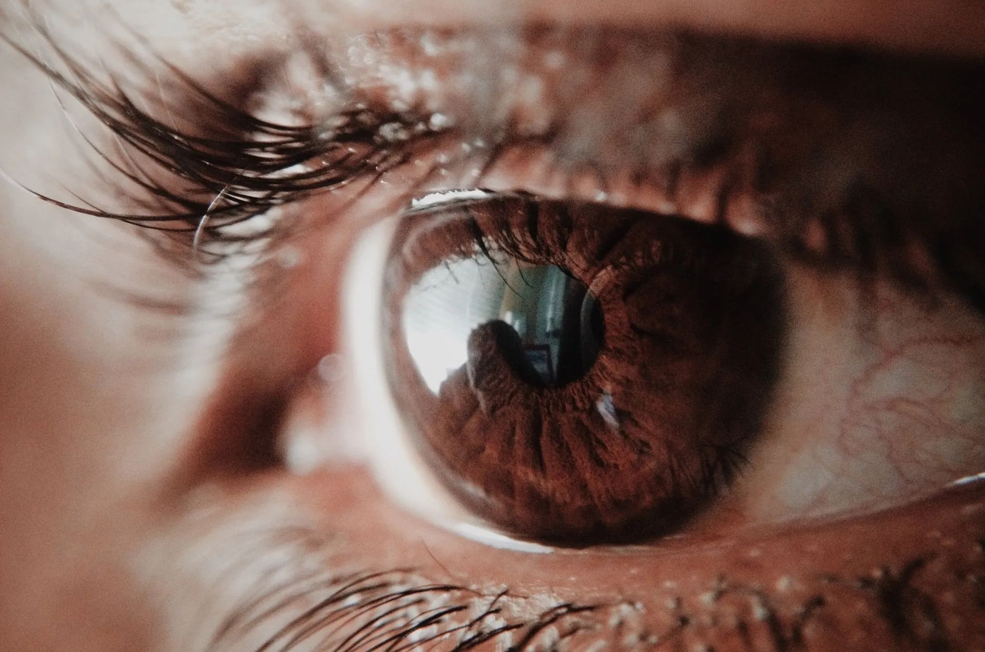 Branding and web design services London for Nomadic vision