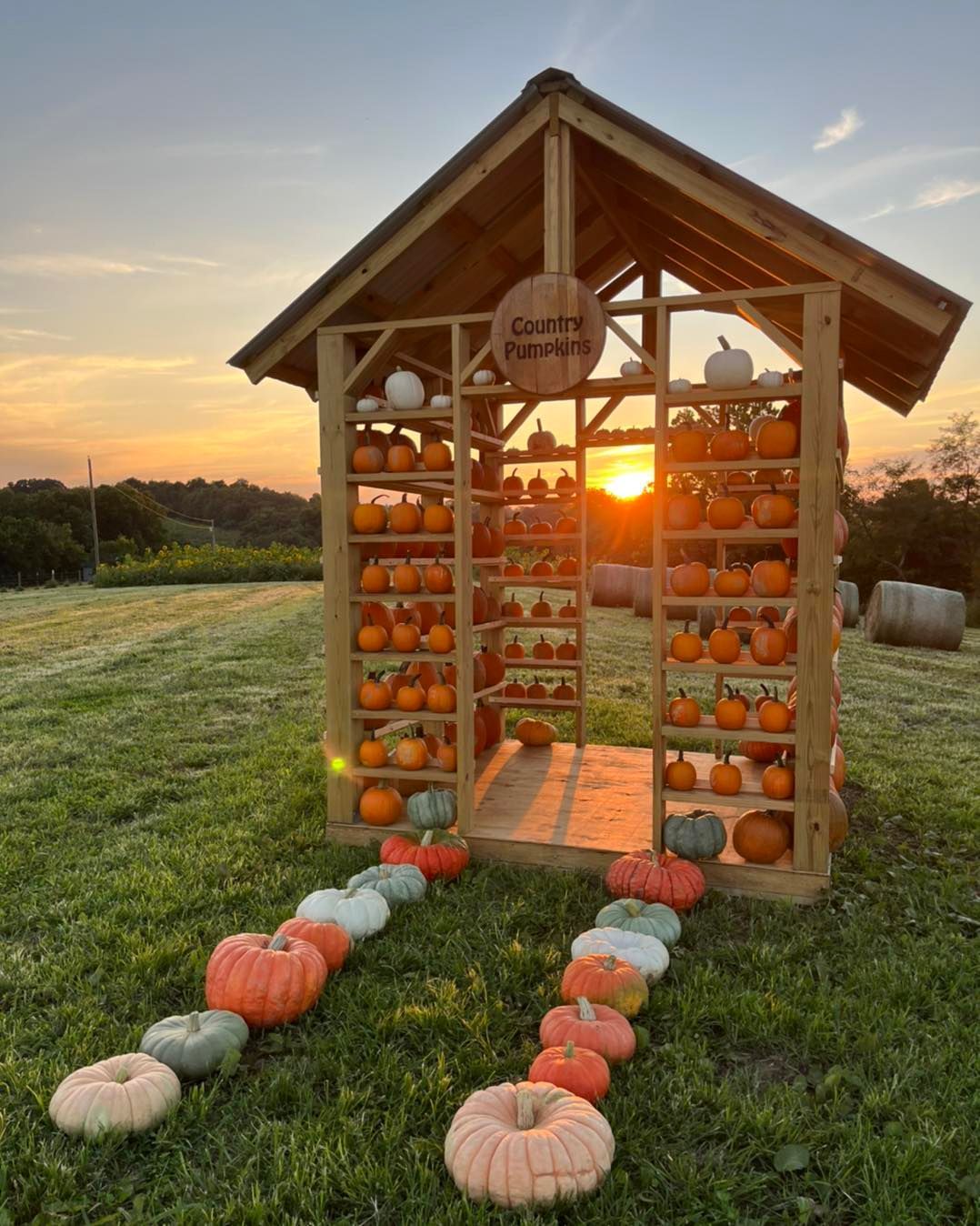Beautiful Pumpkin Photo Spot, Pumpkin House — Dry Ridge, KY — Country Pumpkins
