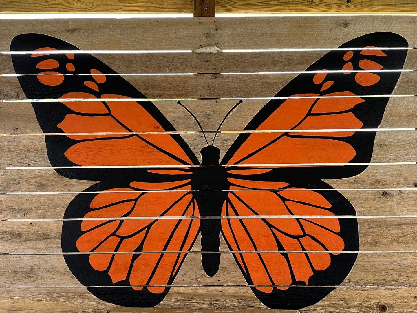 Orange and black butterfly painted on a wooded barn door at Country Pumpkins in Dry Ridge, KY