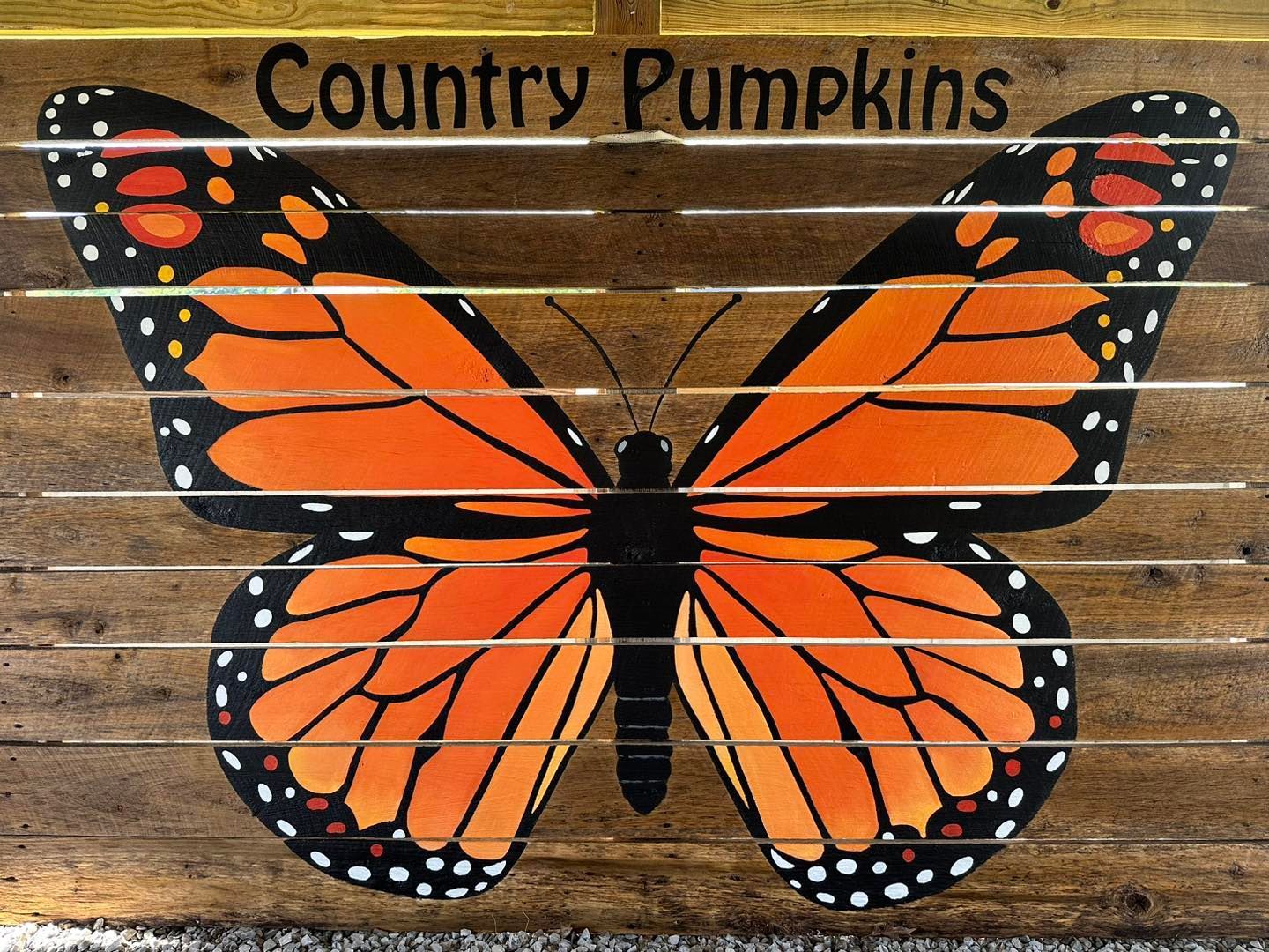 Orange and black butterfly painted on a wooded barn door at Country Pumpkins in Dry Ridge, KY