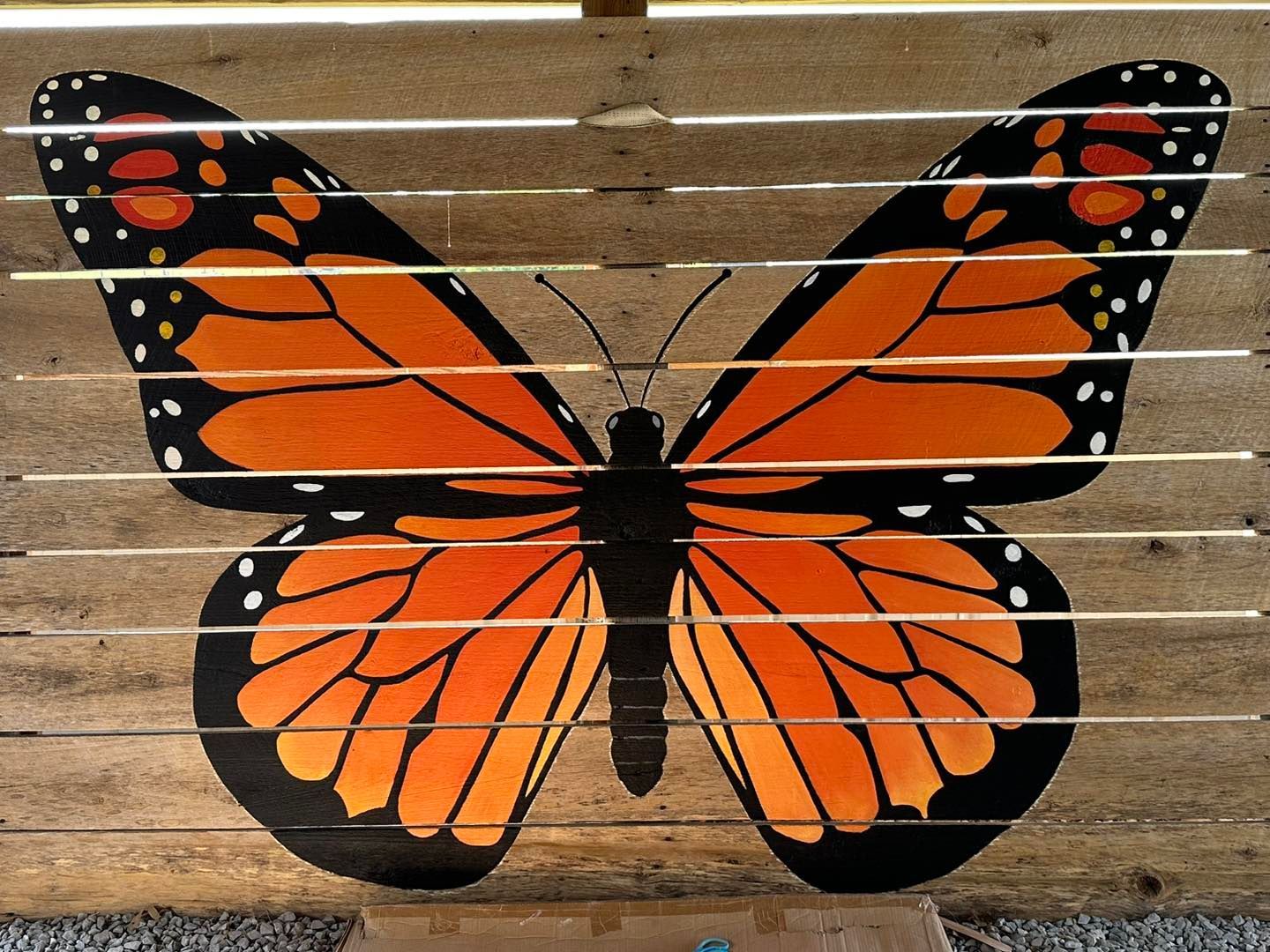 Orange and black butterfly painted on a wooded barn door at Country Pumpkins in Dry Ridge, KY