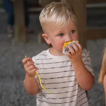 Little Boy Eating Cupcake — Dry Ridge, KY — Country Pumpkins