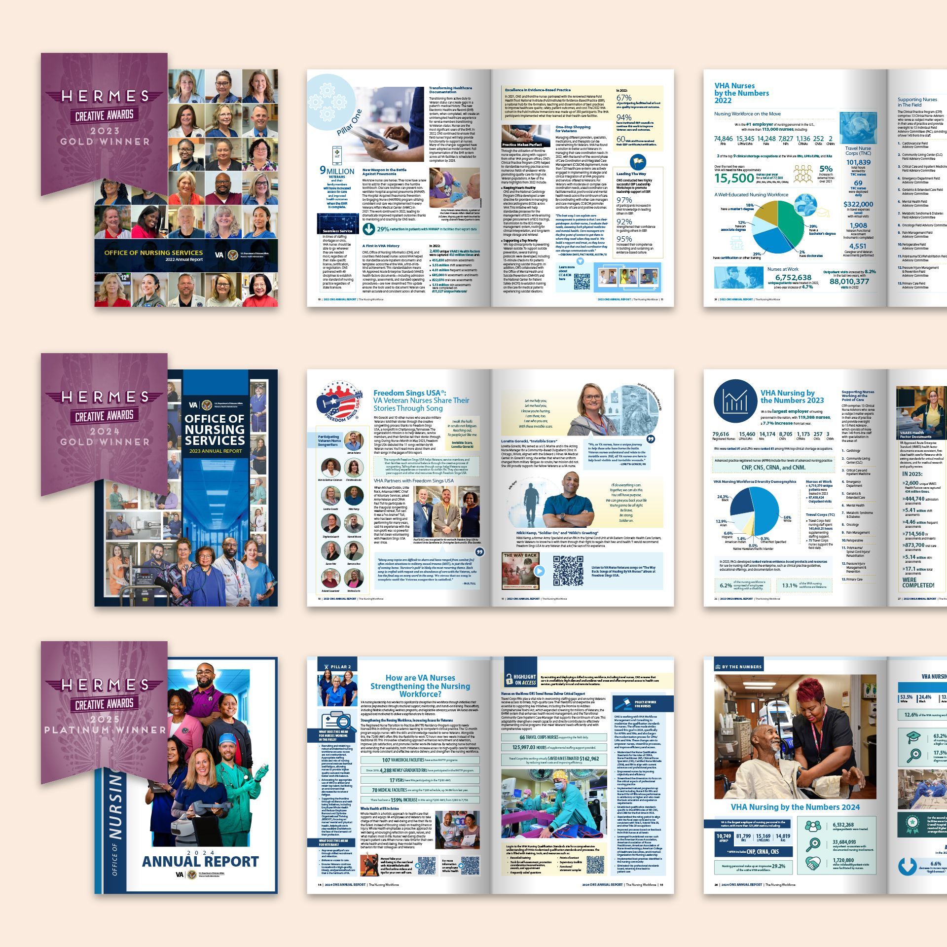 U.S. Department of Veterans Affairs (VA) Office of Nursing Services (ONS) Annual Reports.