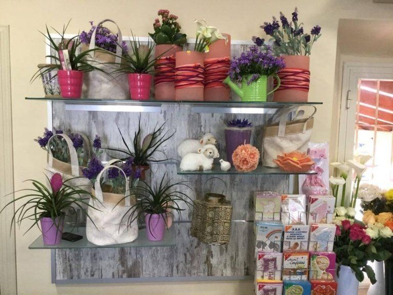 oggetti per la casa e piantine