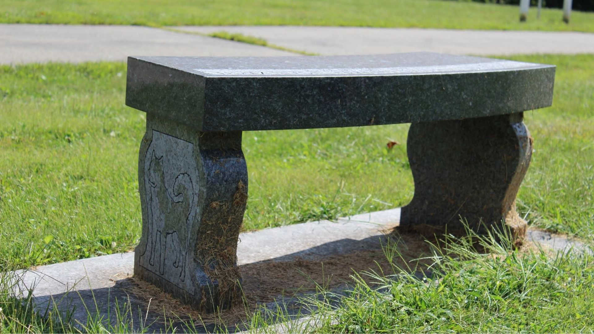 Stone bench on grass; sunny outdoor setting.