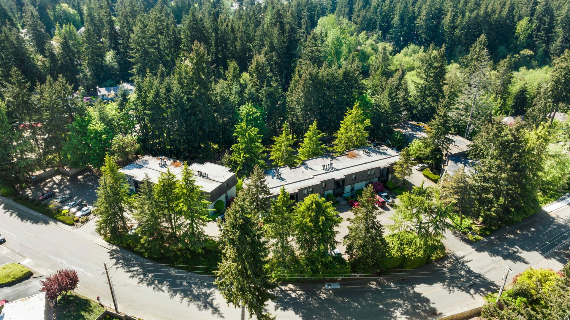 an aerial view of a house in the middle of a forest .