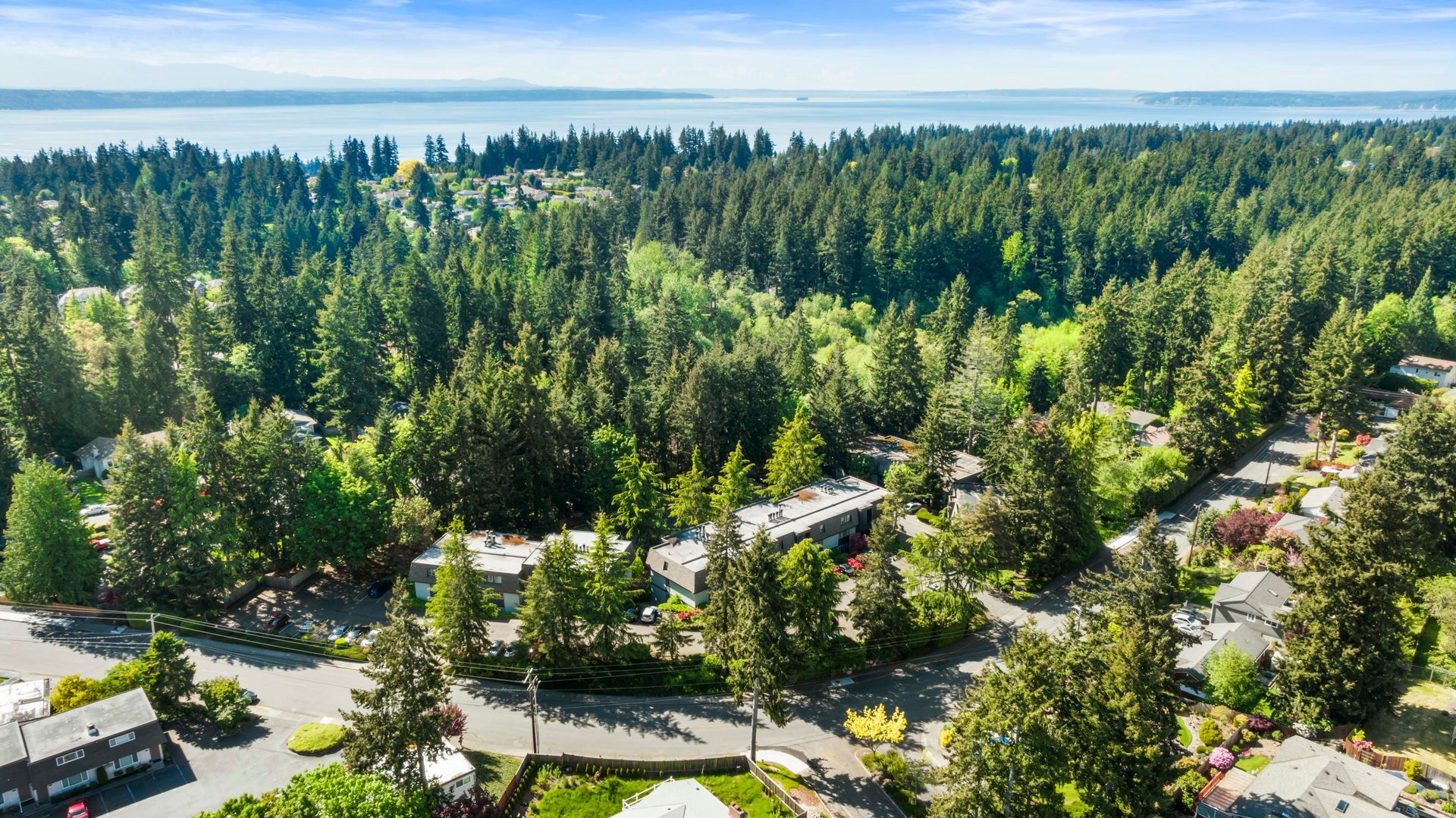 an aerial view of a residential area surrounded by trees and houses .