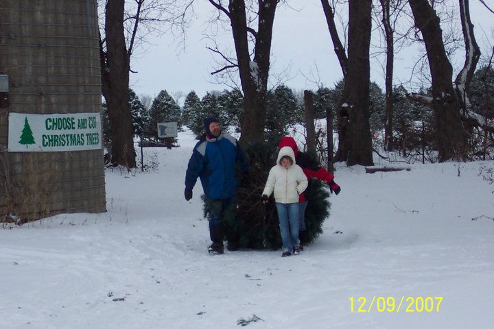 Three people carrying a Christmas tree in front of a sign that says choose and cut Christmas trees.