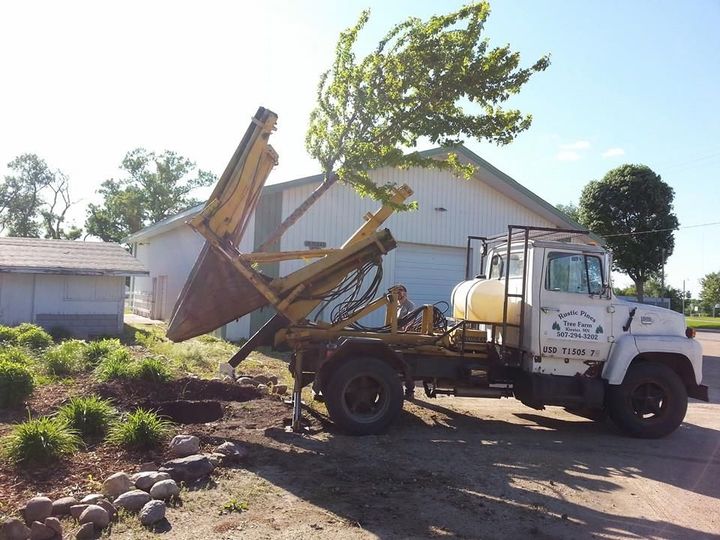 A tree spade lowering a maple tree into the ground on a property.