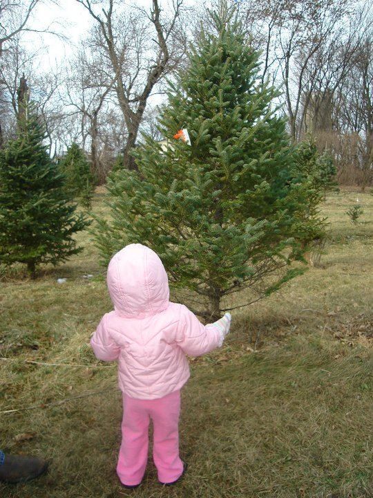 A little girl in a pink jacket is standing in front of a Christmas tree