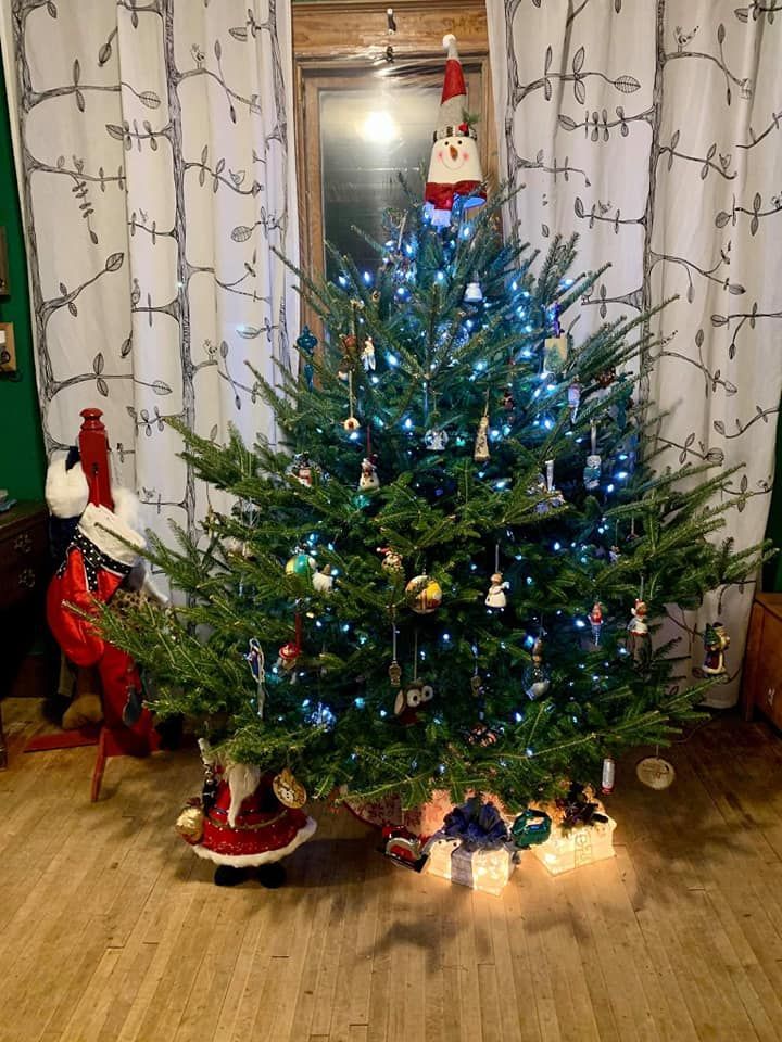 A christmas tree with blue lights is in a living room.