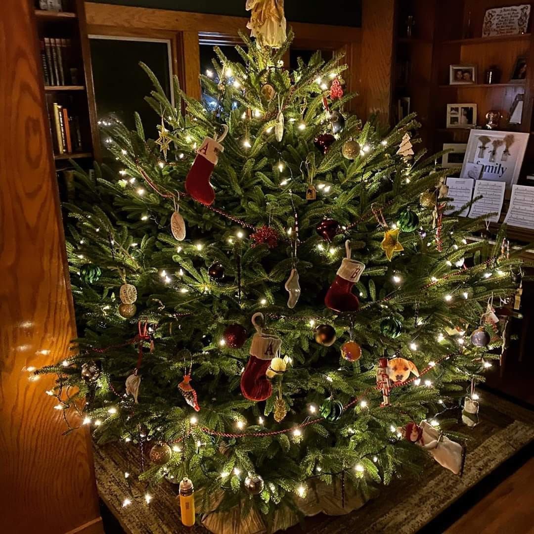 A Christmas tree is decorated with stockings and lights in a living room.