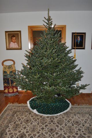 A christmas tree is sitting on a rug in a living room.