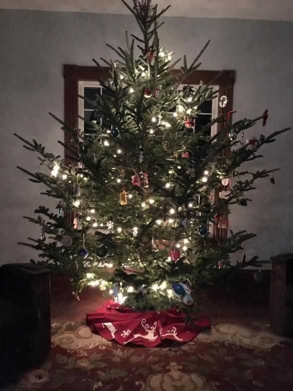 A christmas tree is lit up in a living room
