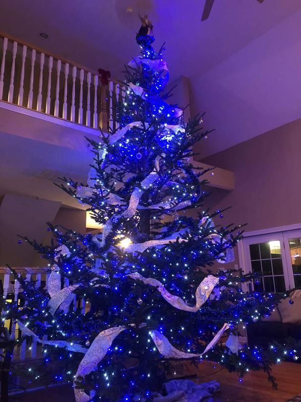 A Christmas tree is decorated with blue lights in a living room.
