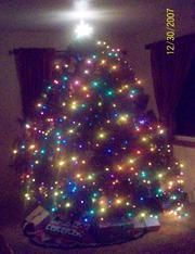 A christmas tree with a lot of lights on it is in a living room.