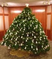 A large christmas tree with white lights is sitting in a room.
