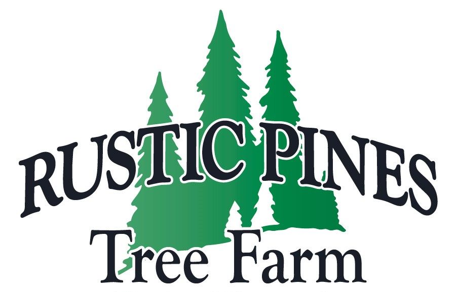 The logo for rustic pines tree farm shows three pine trees