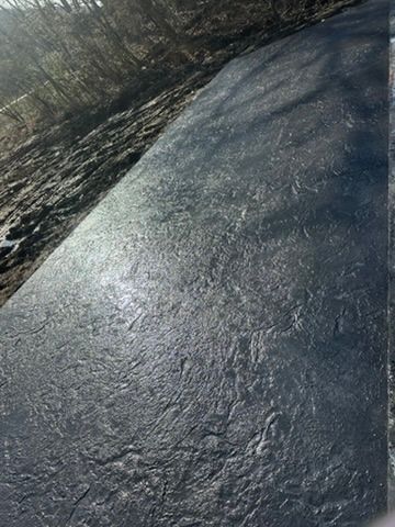Dark gray, textured concrete pathway in a natural setting, lit by sunlight.