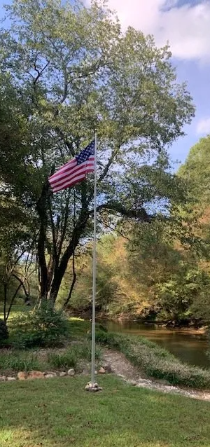 An american flag is flying in front of a tree in a park.