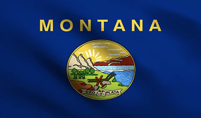 Montana State Flag — Woodstock, Ga — Flagsource Southeast Inc