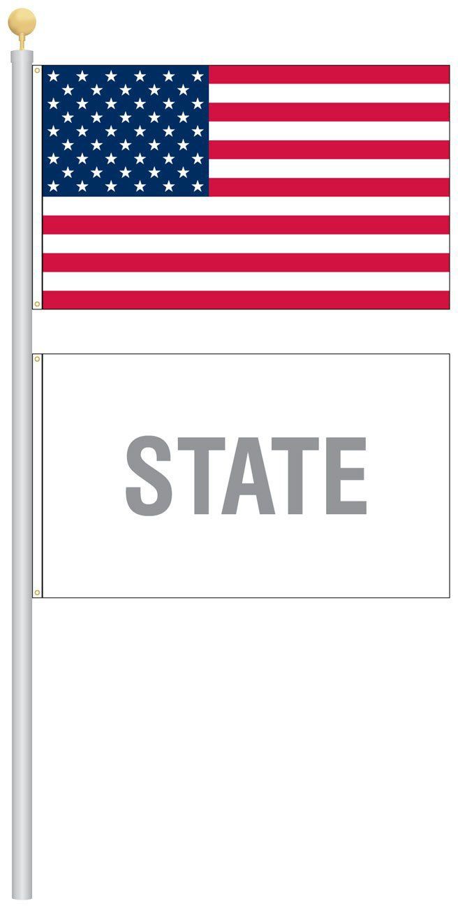 An american flag on a pole with the word state written below it.