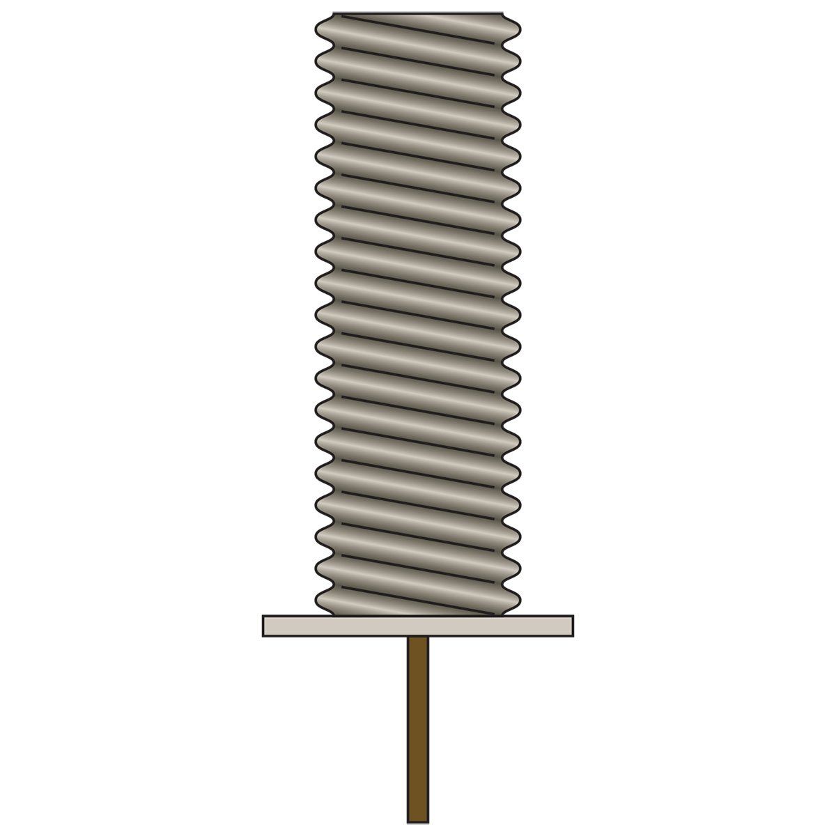 A screw with a wooden stick sticking out of it on a white background.
